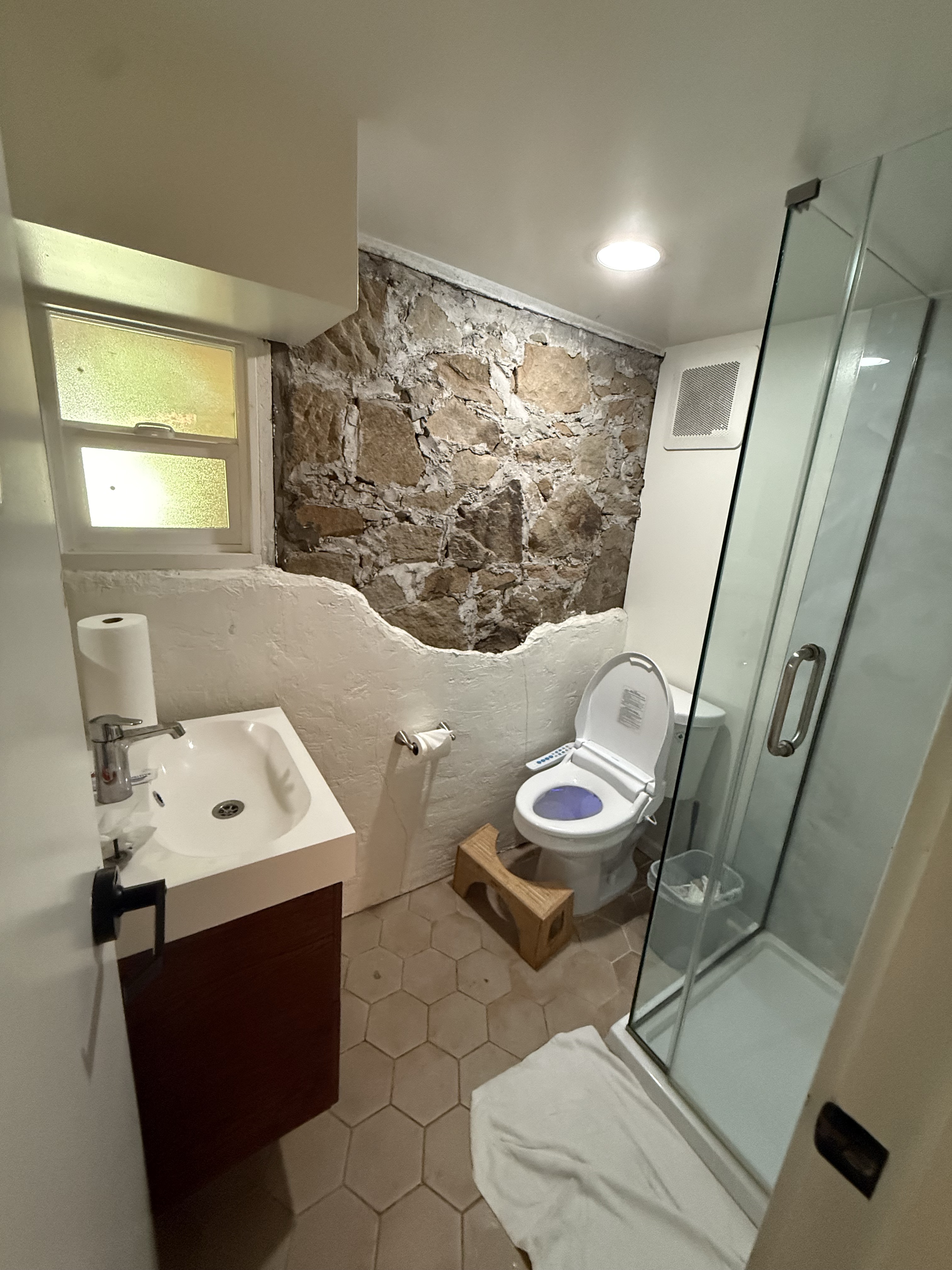 shower + bidet